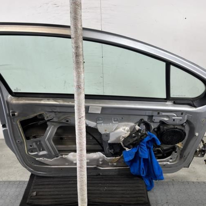 Porte avant gauche PEUGEOT 207 Photo n°7