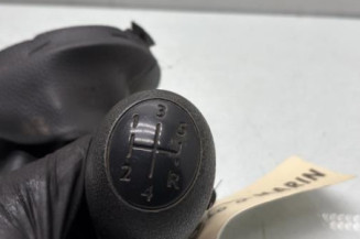 Pommeau de vitesses DACIA SANDERO 1