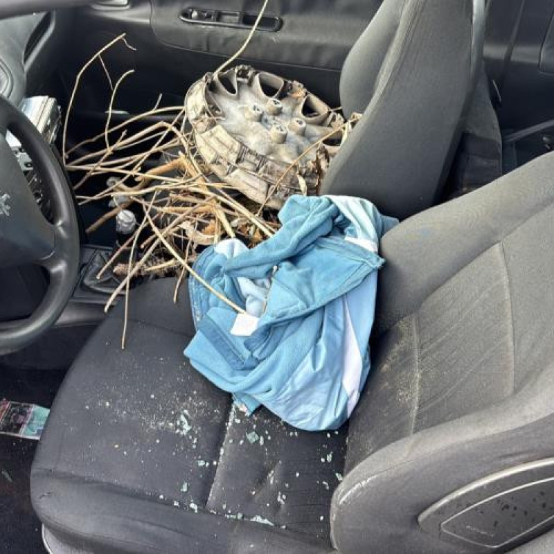 Compteur PEUGEOT 207 Photo n°11