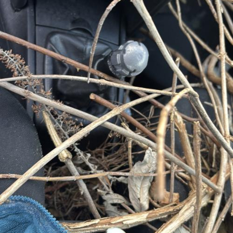 Compteur PEUGEOT 207 Photo n°18