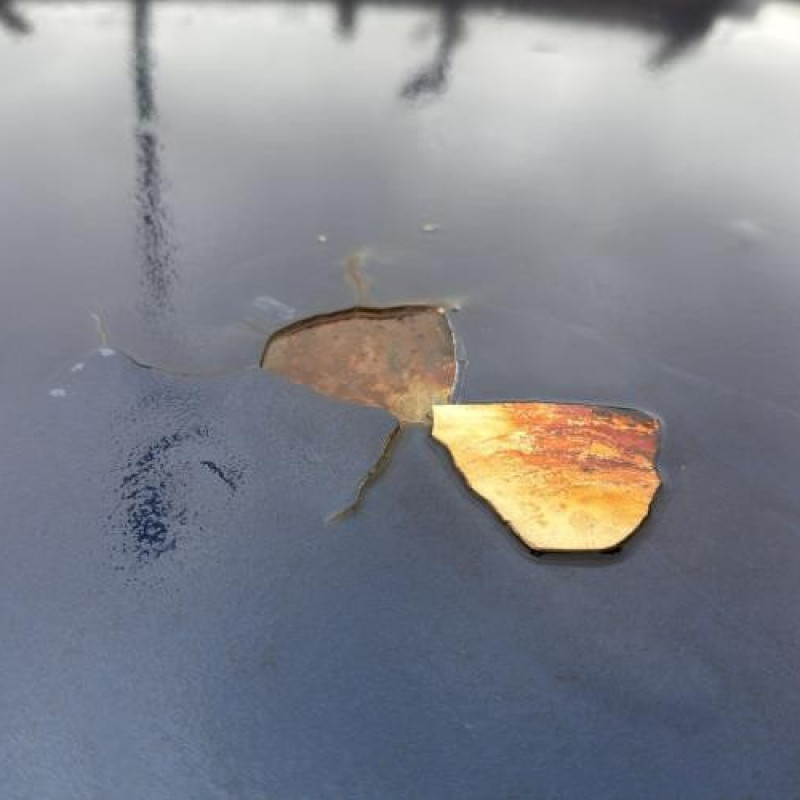 Levier de vitesses RENAULT CLIO 2 Photo n°11