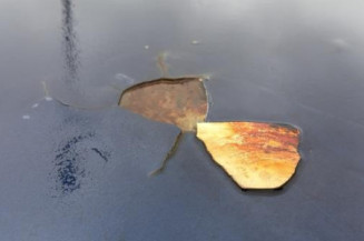 Mastervac RENAULT CLIO 2