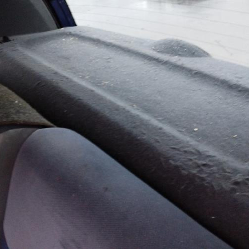 Tambour arriere gauche RENAULT CLIO 2 Photo n°13