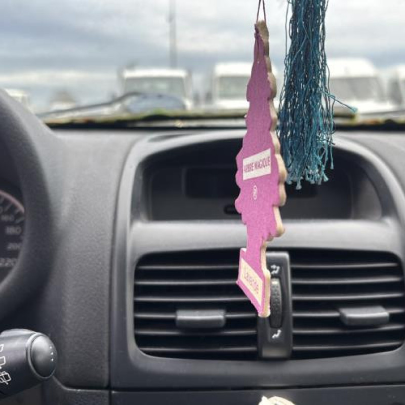 Tambour arriere droit RENAULT CLIO 2 Photo n°20