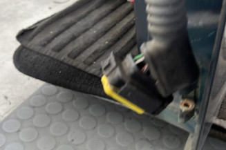 Porte avant gauche RENAULT CLIO 2