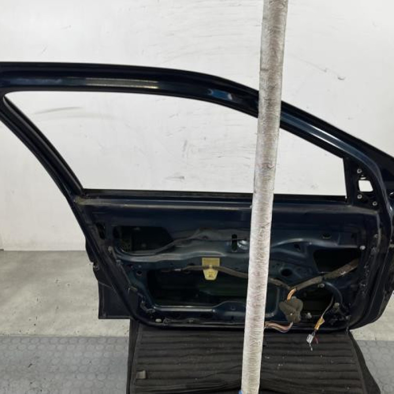 Porte avant gauche RENAULT CLIO 2 Photo n°6