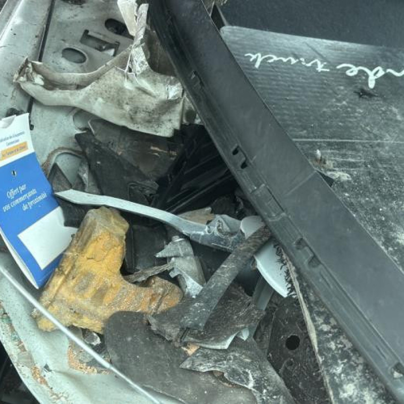 Poignee interieur arriere droit RENAULT CLIO 2 Photo n°14