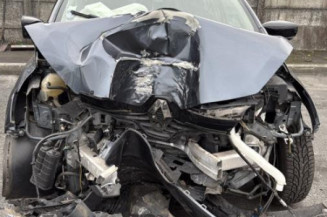 Demi berceau RENAULT CLIO 4