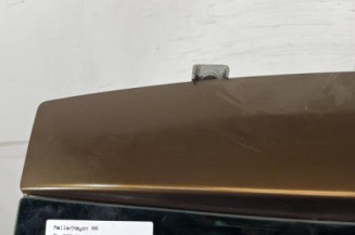 Malle/Hayon arriere DACIA DUSTER 1