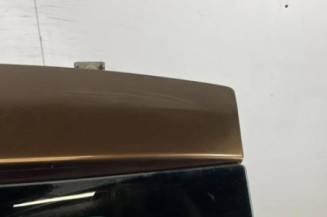 Malle/Hayon arriere DACIA DUSTER 1