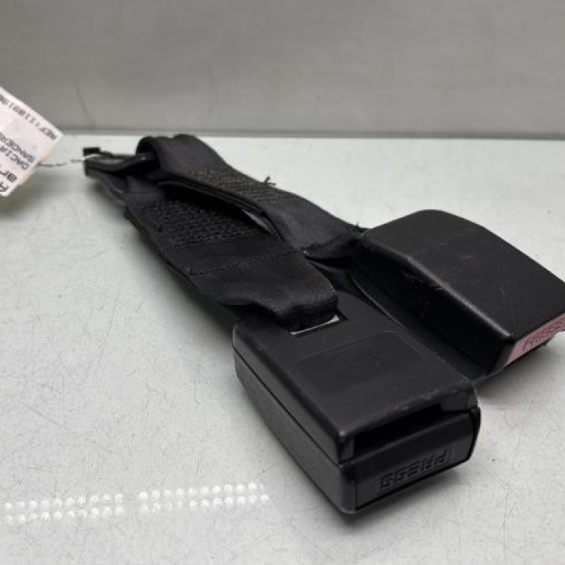 Attache ceinture arriere centrale DACIA SANDERO 1 Photo n°2