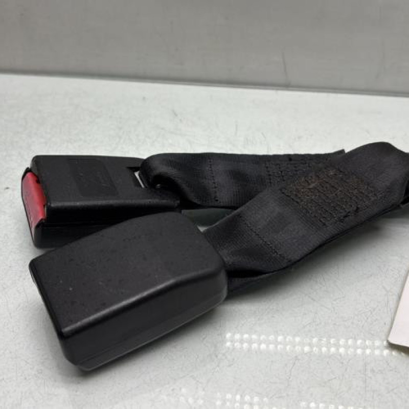 Attache ceinture arriere centrale DACIA SANDERO 1 Photo n°3