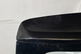 Malle/Hayon arriere DACIA SANDERO 2