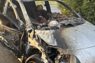 Poignee porte avant gauche RENAULT TWINGO 2