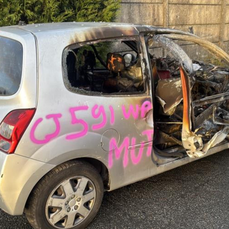 Poignee porte avant gauche RENAULT TWINGO 2 Photo n°5