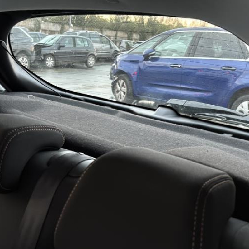 Porte avant gauche PEUGEOT 208 1 Photo n°15