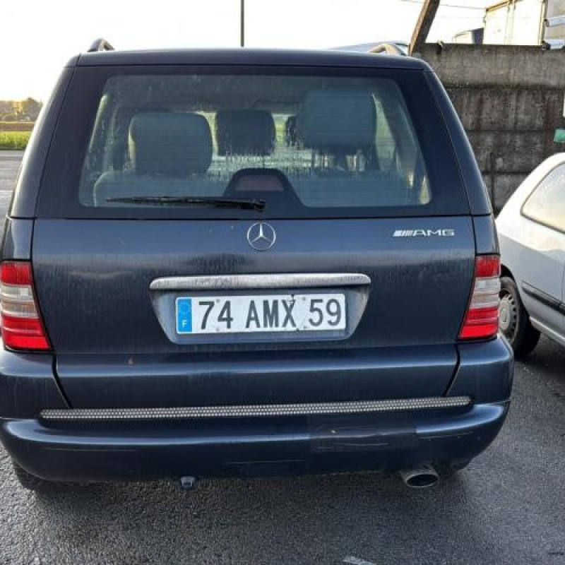 Custode arriere gauche (porte) MERCEDES CLASSE M 163 Photo n°13