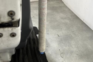 Porte arriere gauche PEUGEOT 107