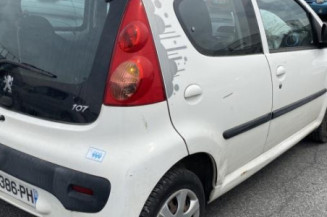 Porte arriere gauche PEUGEOT 107