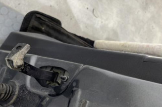 Porte arriere gauche PEUGEOT 208 1