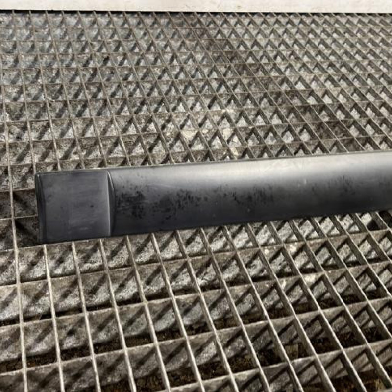 Baguette de porte arriere gauche  PEUGEOT 307 Photo n°2