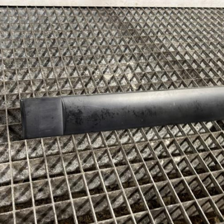 Baguette de porte arriere gauche PEUGEOT 307