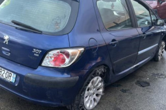 Baguette de porte arriere gauche  PEUGEOT 307