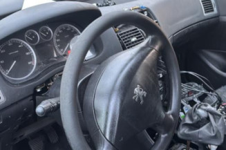 Baguette de porte arriere gauche  PEUGEOT 307