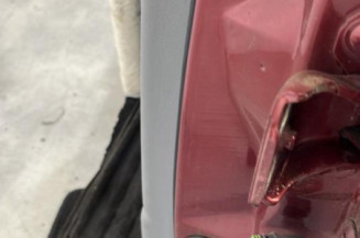 Porte arriere gauche RENAULT LAGUNA 1