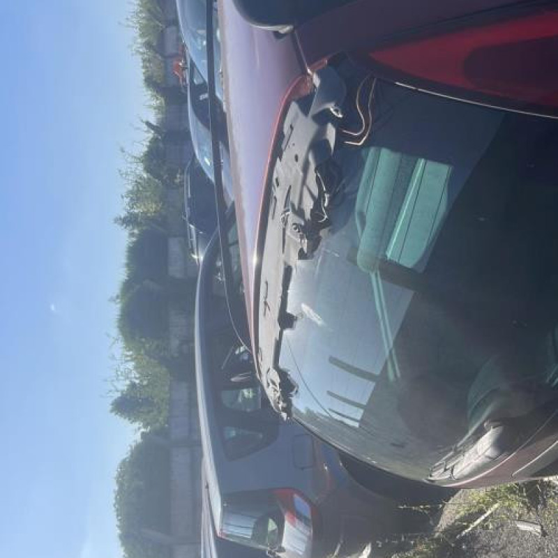 Porte avant gauche RENAULT LAGUNA 1 Photo n°20