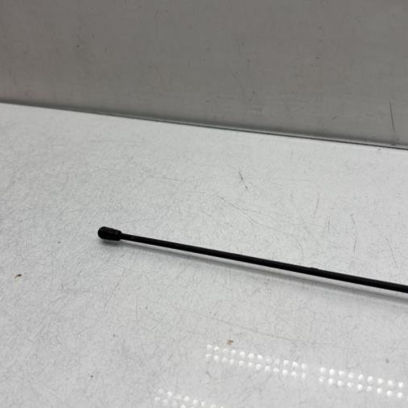 Antenne DACIA SANDERO 1 Photo n°3