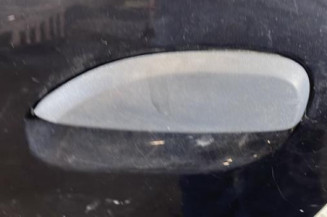 Porte arriere gauche DACIA SANDERO 2