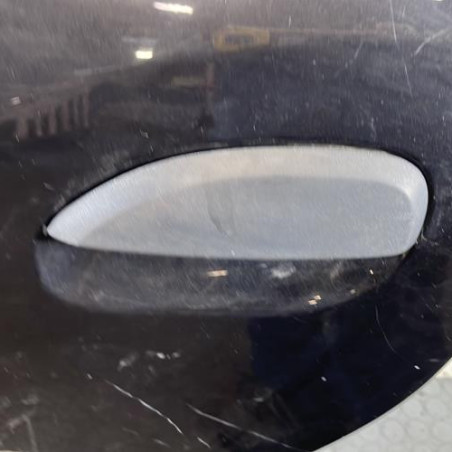 Porte arriere gauche DACIA SANDERO 2