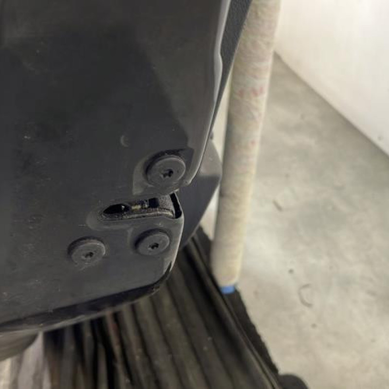 Porte arriere gauche DACIA SANDERO 2 Photo n°3