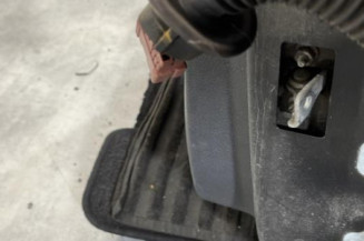 Porte arriere gauche DACIA SANDERO 2