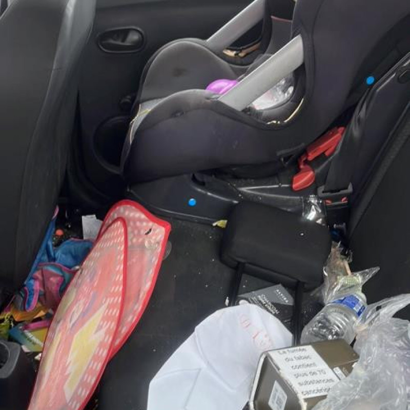 Porte arriere gauche DACIA SANDERO 2 Photo n°8