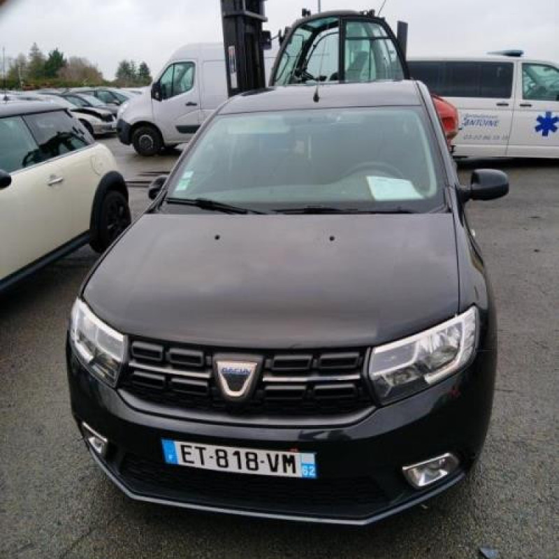 Porte arriere gauche DACIA SANDERO 2 Photo n°10