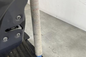 Porte arriere gauche NISSAN MICRA 3