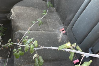 Serrure avant gauche FORD FOCUS 1