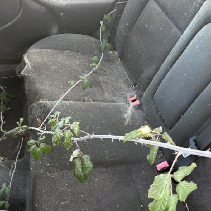 Serrure avant gauche FORD FOCUS 1 Photo n°19