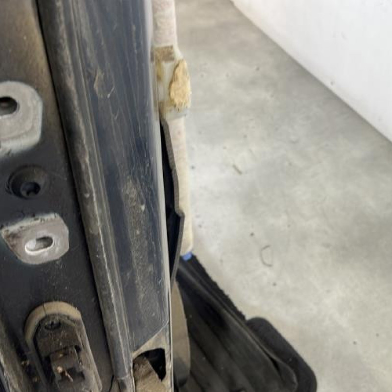 Porte arriere droit MERCEDES CLASSE M 163 Photo n°2