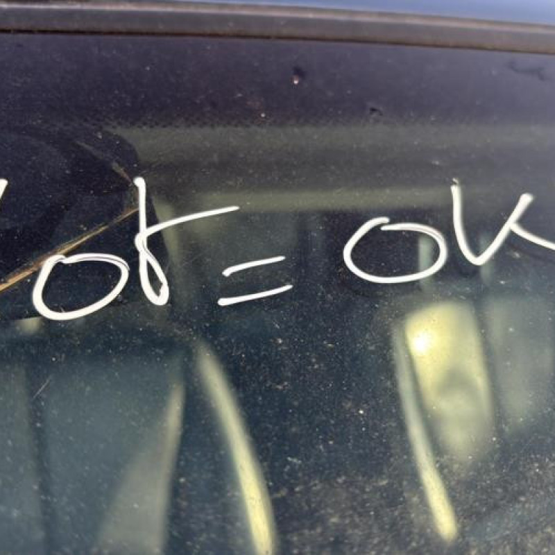 Porte arriere droit MERCEDES CLASSE M 163 Photo n°10