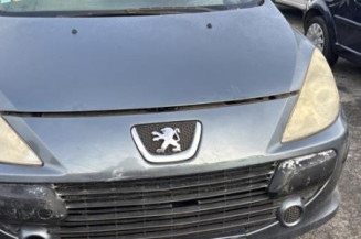 Boitier BSI PEUGEOT 307