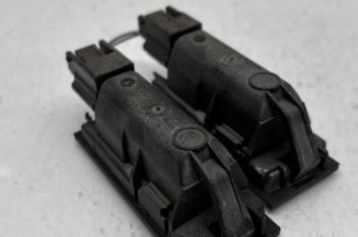 Eclairage de plaque RENAULT MEGANE 4