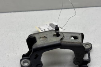 Charniere de porte avant gauche RENAULT MEGANE 4 Photo n°1