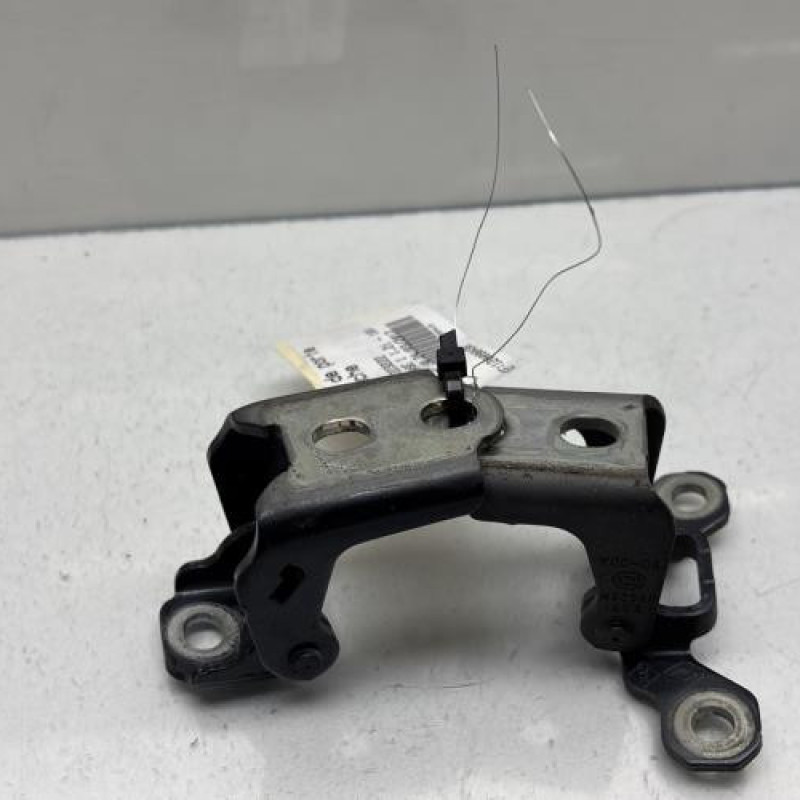 Charniere de porte avant gauche RENAULT MEGANE 4 Photo n°1