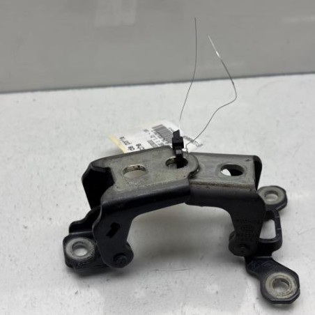 Charniere de porte avant gauche RENAULT MEGANE 4 Photo n°1