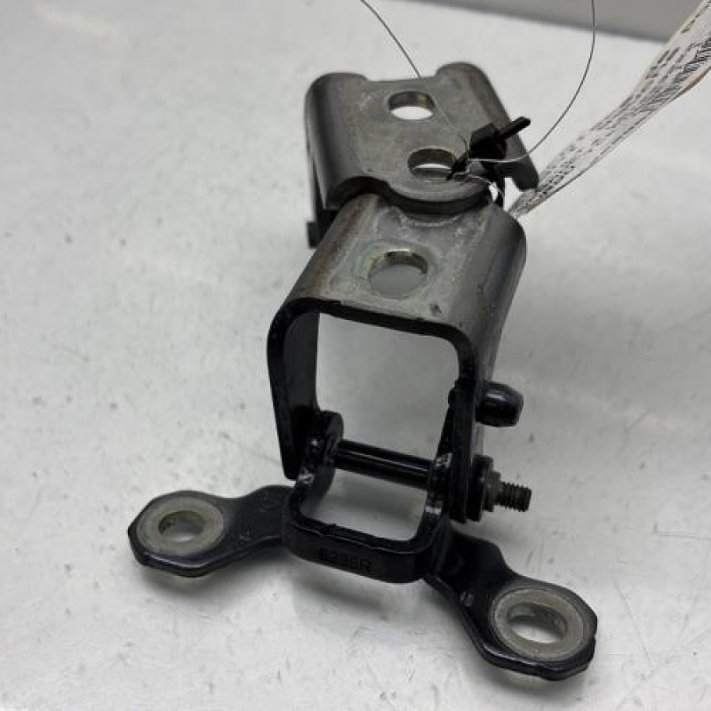 Charniere de porte avant gauche RENAULT MEGANE 4 Photo n°2