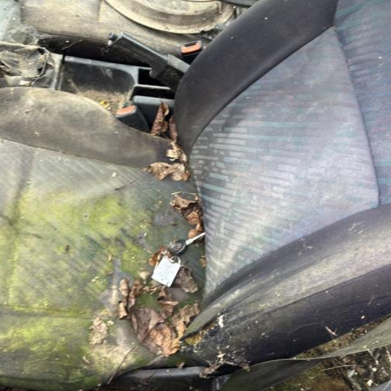 Feu arriere principal droit (feux) VOLKSWAGEN PASSAT 3 Photo n°15