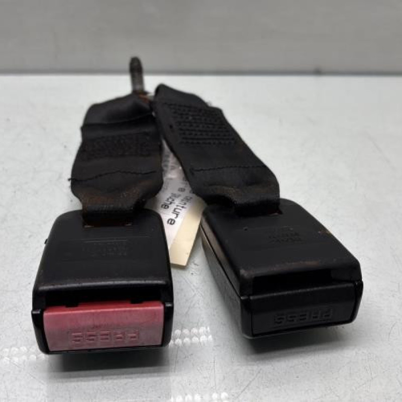Attache ceinture arriere gauche DACIA SANDERO 1 Photo n°3
